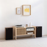 Meuble TV vinyle Mendia en bois massif 1 porte 102,2 x 57,6 cm