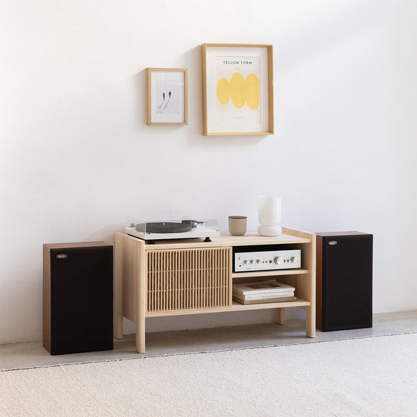 Meuble TV vinyle Mendia en bois massif 1 porte 102 x 58 cm