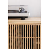 Meuble TV vinyle Mendia en bois massif 1 porte 102,2 x 57,6 cm