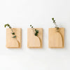 Natural unvarnished and Natural varnished