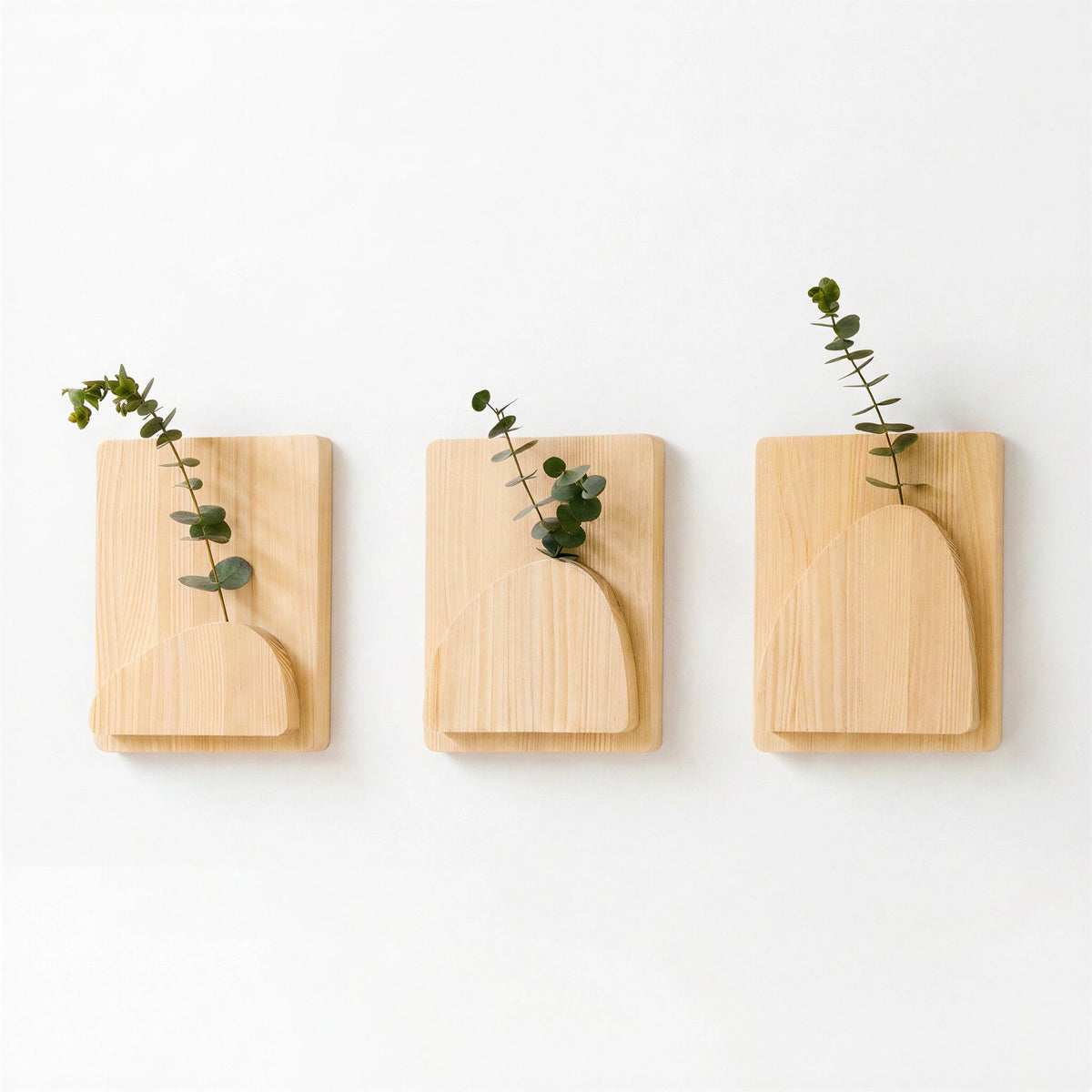 Natural unvarnished and Natural varnished